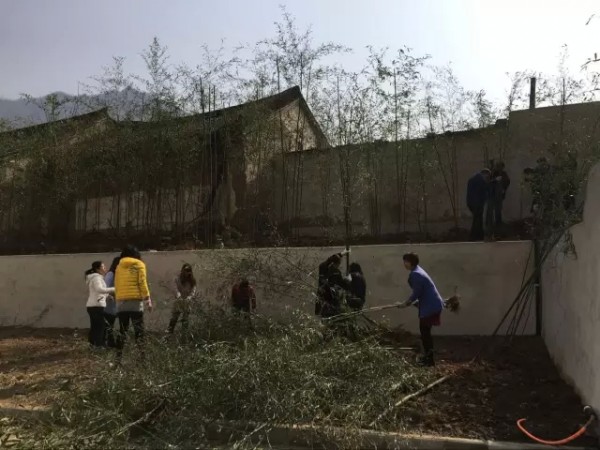 大西溝開展春季植樹綠化活動(dòng) 大西溝開展春季植樹綠化活動(dòng)