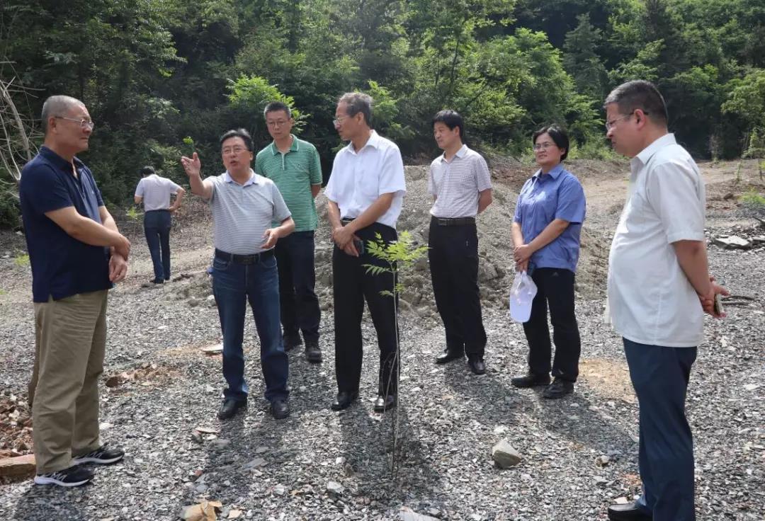 國(guó)家自然資源部咨詢研究中心調(diào)研組到大西溝礦業(yè)公司調(diào)研 國(guó)家自然資源部咨詢研究中心調(diào)研組到大西溝礦業(yè)公司調(diào)研