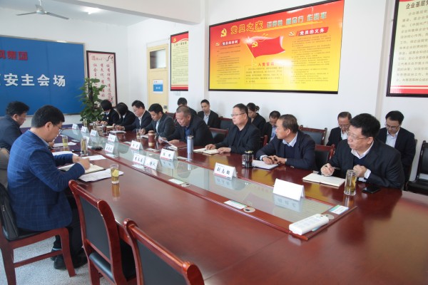 陜鋼集團對龍鋼集團2019年度黨建目標責任落實暨黨風廉政建設(shè)情況進行綜合檢查