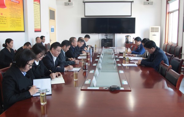 陜鋼集團對龍鋼集團2019年度黨建目標責任落實暨黨風廉政建設(shè)情況進行綜合檢查