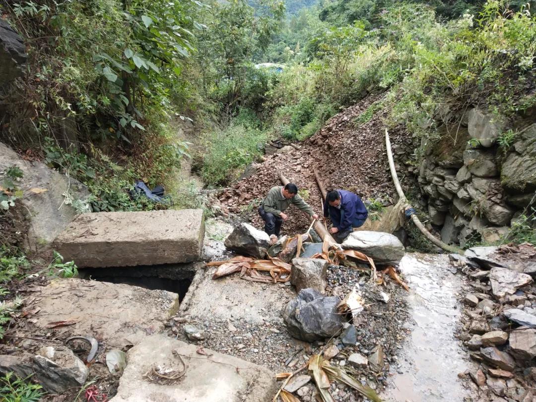 做本職、助和諧、促提升