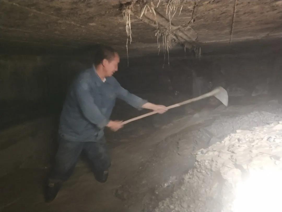 做本職、助和諧、促提升