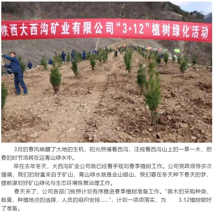 望春而動 向綠而行——龍鋼集團(tuán)大西溝礦業(yè)公司 開展“3.12”植樹活動