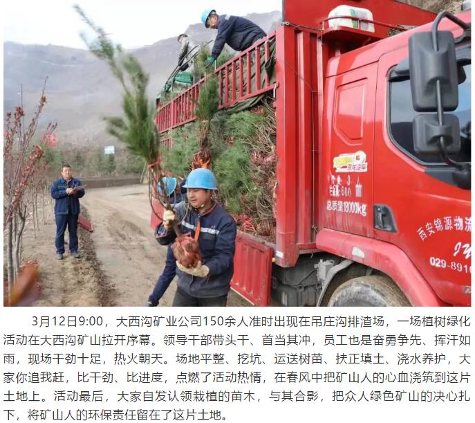 望春而動 向綠而行——龍鋼集團(tuán)大西溝礦業(yè)公司 開展“3.12”植樹活動
