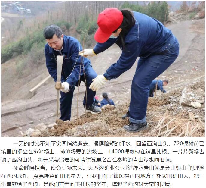 望春而動 向綠而行——龍鋼集團(tuán)大西溝礦業(yè)公司 開展“3.12”植樹活動