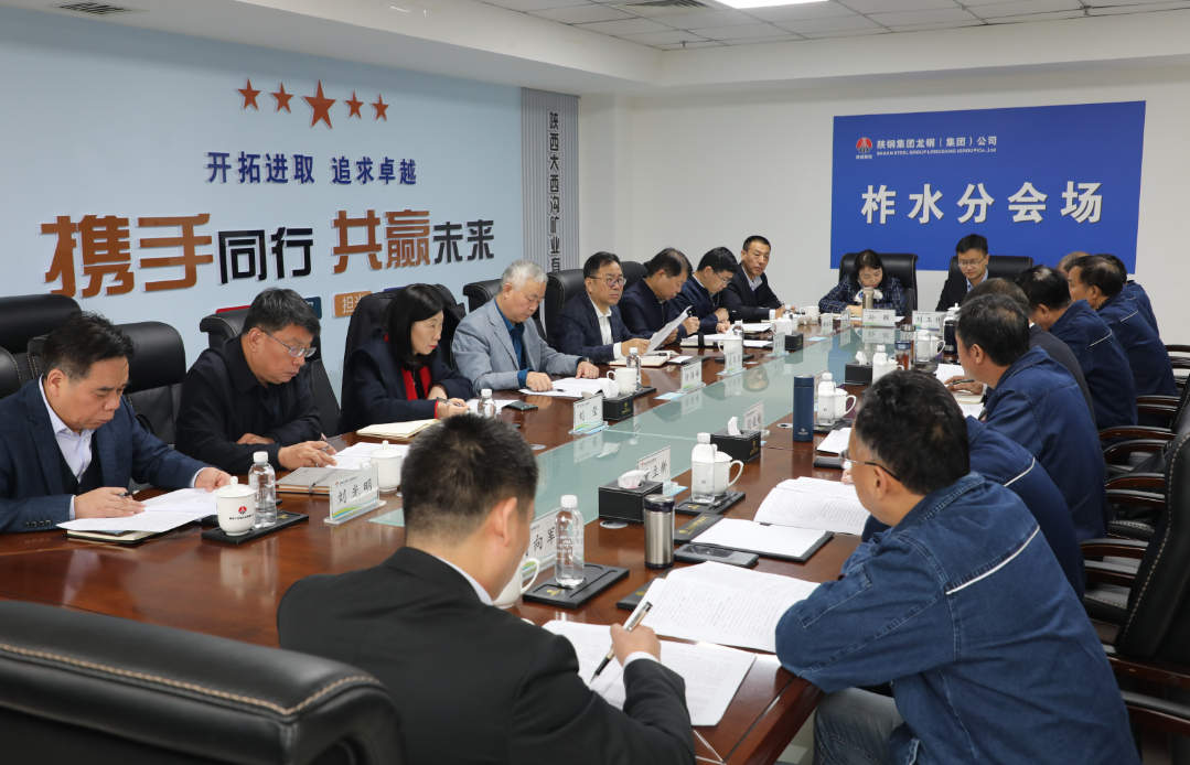 楊海峰到大西溝礦業(yè)公司調(diào)研指導菱鐵礦開發(fā)工作